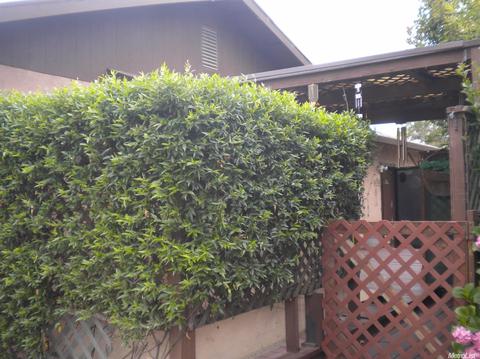 837 Ayers Ln, Galt, CA 95632 photo 13