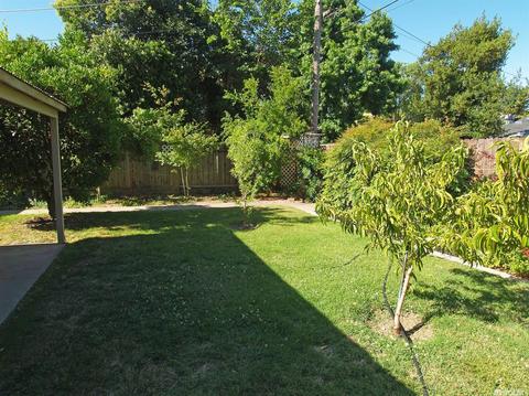 1241 Enslen Ave, Modesto, CA 95350 photo 31