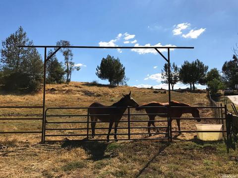 1820 Springvale Rd, Placerville, CA 95667 photo 20