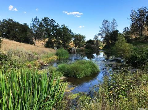 1820 Springvale Rd, Placerville, CA 95667 photo 30