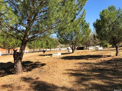 1820 Springvale Rd, Placerville, CA 95667 photo 27