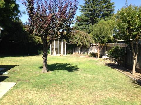 618 S Wilma Ave, Ripon, CA 95366 photo 12