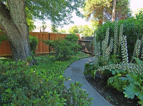 1007 Mills Ave, Modesto, CA 95350 photo 27