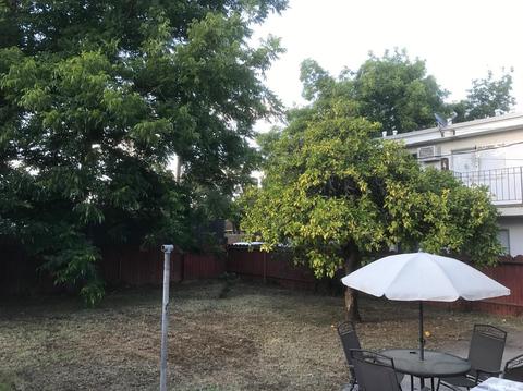 321 Forrest Ave, Lodi, CA 95240 photo 4
