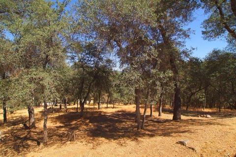 4621 Hawk Hill Rd, Placerville, CA 95667 photo 35