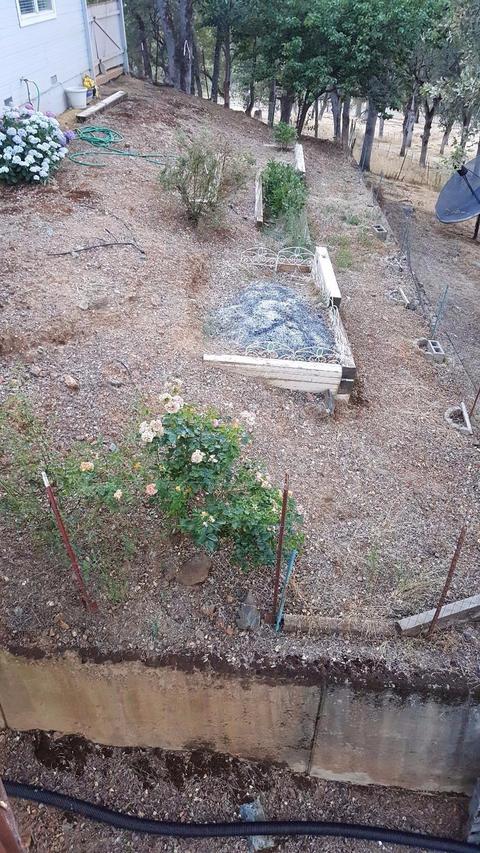 4621 Hawk Hill Rd, Placerville, CA 95667 photo 32