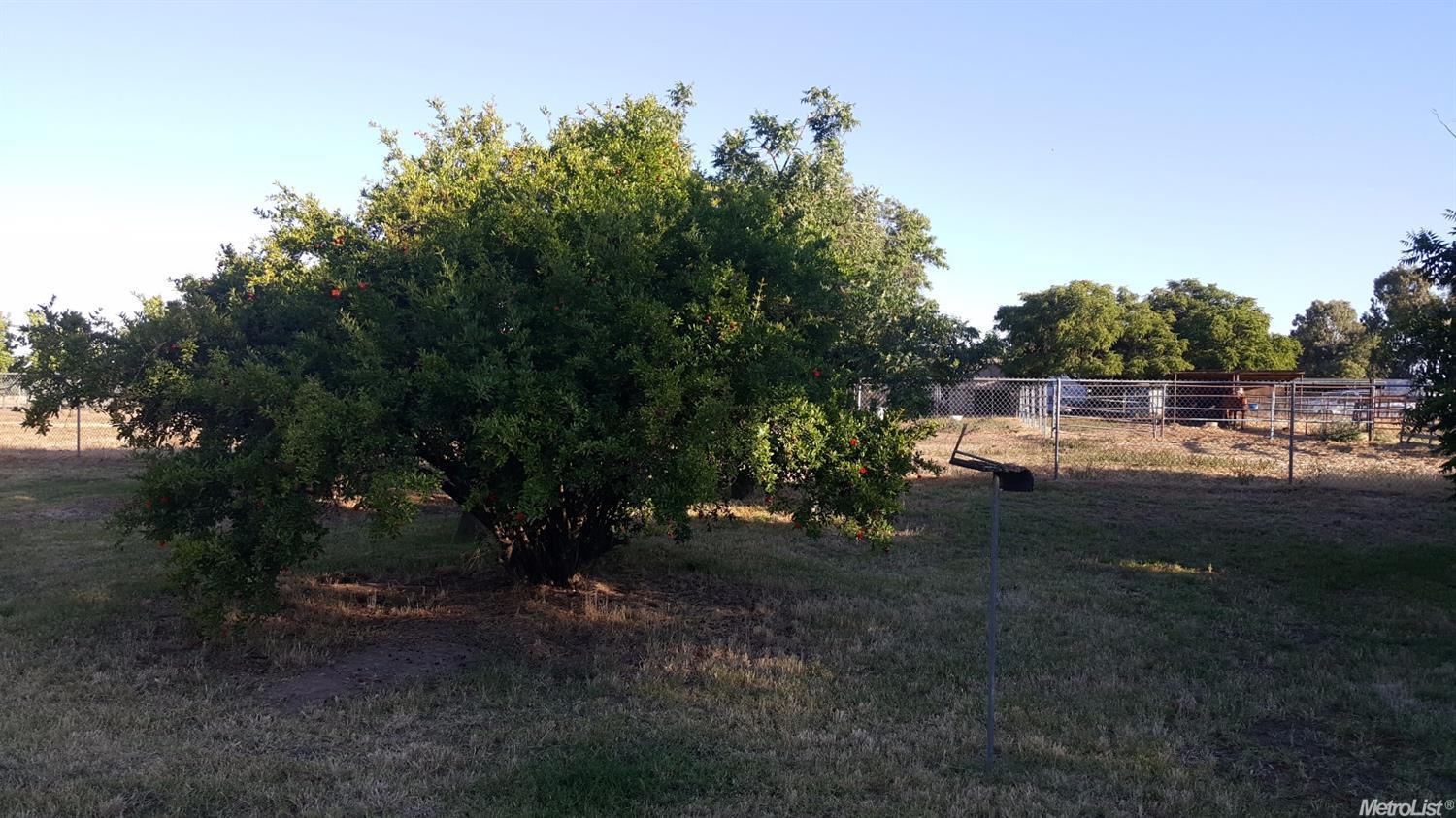 210 W Delano St, Elverta, CA 95626 photo 4