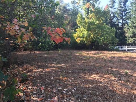 6830 Burma Rd, Folsom, CA 95630 photo 13