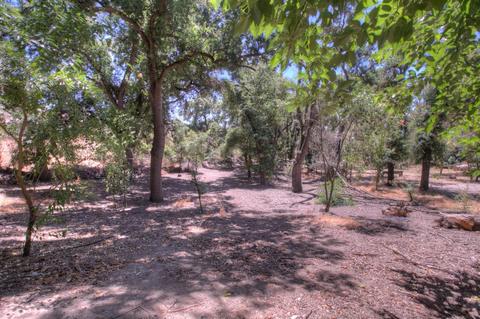 1300 Branch Ln, Modesto, CA 95355 photo 36