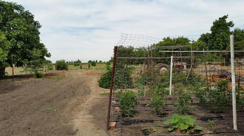 16199 Moore Rd, Lodi, CA 95242 photo 21