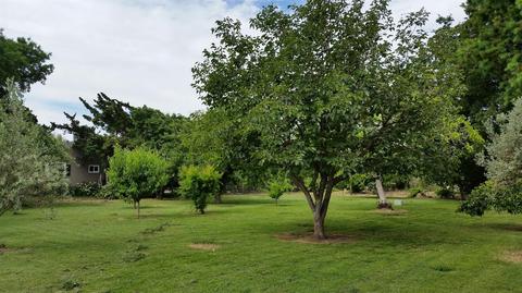16199 Moore Rd, Lodi, CA 95242 photo 4