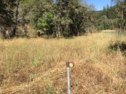 12357 Rainbow Rd, Grass Valley, CA 95949 photo 15