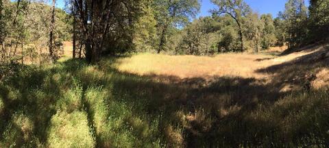 12357 Rainbow Rd, Grass Valley, CA 95949 photo 6