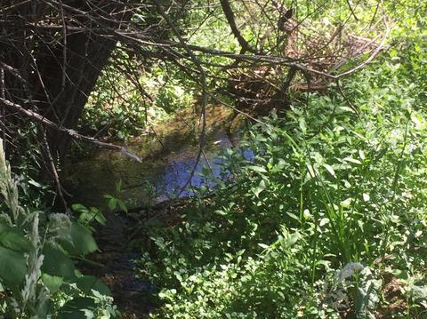12357 Rainbow Rd, Grass Valley, CA 95949 photo 13