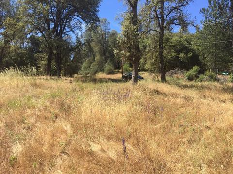 12357 Rainbow Rd, Grass Valley, CA 95949 photo 14