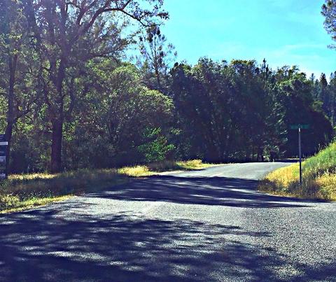 12357 Rainbow Rd, Grass Valley, CA 95949 photo 22