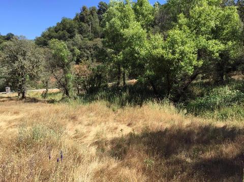12357 Rainbow Rd, Grass Valley, CA 95949 photo 5