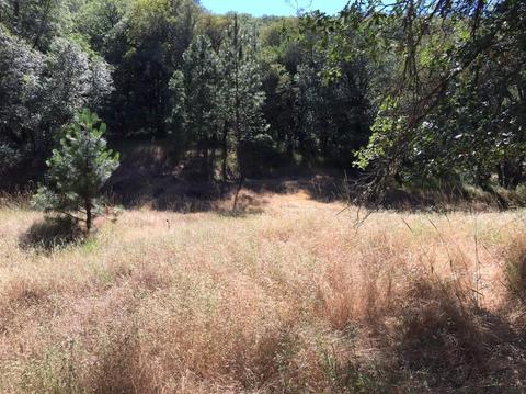 12357 Rainbow Rd, Grass Valley, CA 95949 photo 10