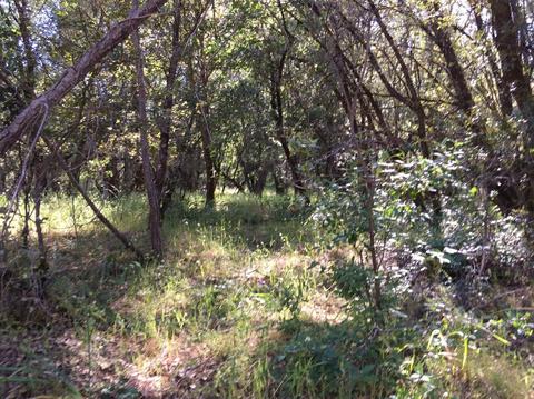 12357 Rainbow Rd, Grass Valley, CA 95949 photo 20