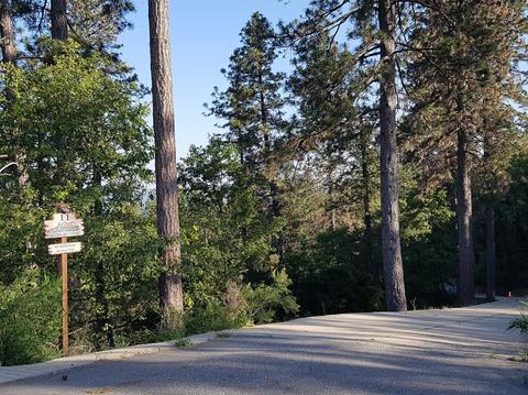 11 Sierra Sky, Colfax, CA 95713 photo 3