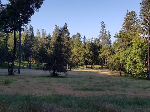 11 Sierra Sky, Colfax, CA 95713 photo 5