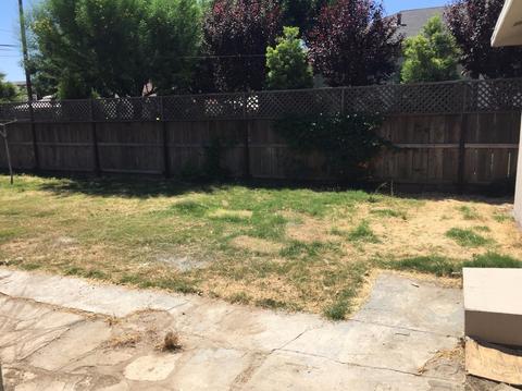 1012 Main St, Newman, CA 95360 photo 11