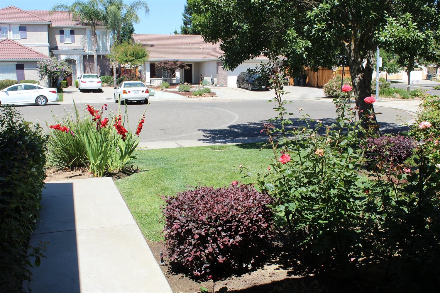 3208 Canopy Ct, Modesto, CA 95355 photo 3