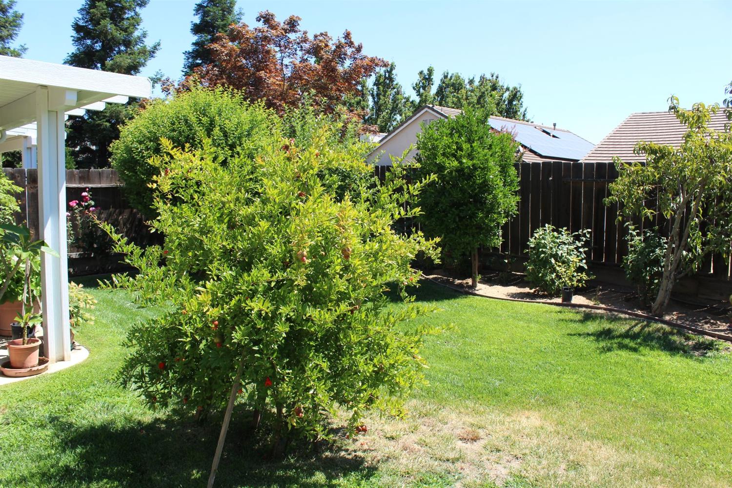 3208 Canopy Ct, Modesto, CA 95355 photo 20