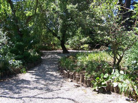 27338 Willowbank Rd, Davis, CA 95618 photo 16