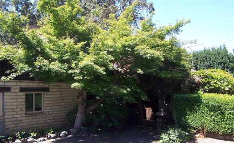 27338 Willowbank Rd, Davis, CA 95618 photo 3
