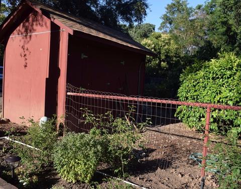 4903 Cypress Ave, Carmichael, CA 95608 photo 6