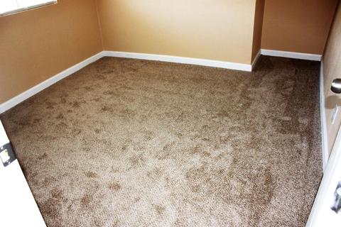 336 E Watters Rd, French Camp, CA 95231 photo 10