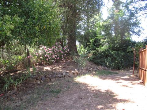 3148 Sheridan St, Placerville, CA 95667 photo 22