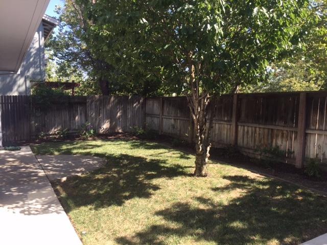 2484 Halsey Cir, Davis, CA 95618 photo 2