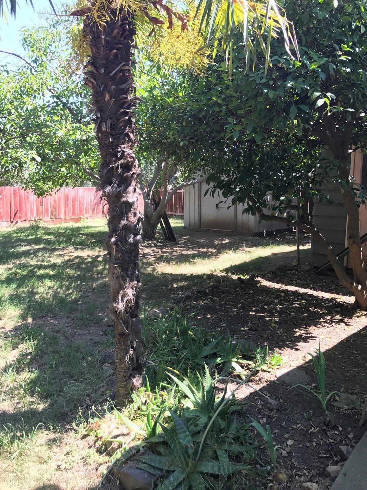 708 4th St, Wheatland, CA 95692 photo 27