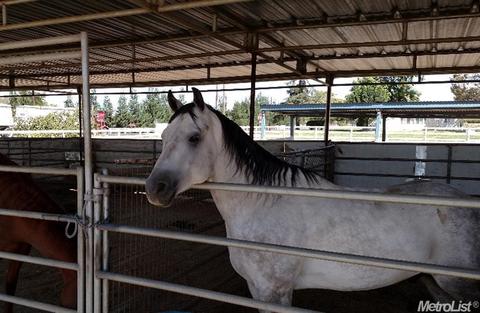 4000 E Service Rd, Ceres, CA 95307 photo 24