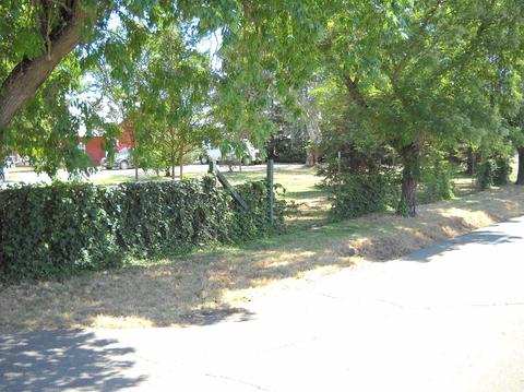 3151 E Calimyrna Rd, Acampo, CA 95220 photo 5