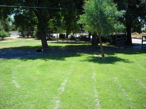 3151 E Calimyrna Rd, Acampo, CA 95220 photo 8