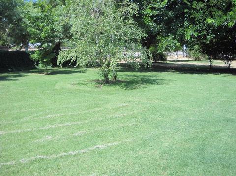 3151 E Calimyrna Rd, Acampo, CA 95220 photo 9