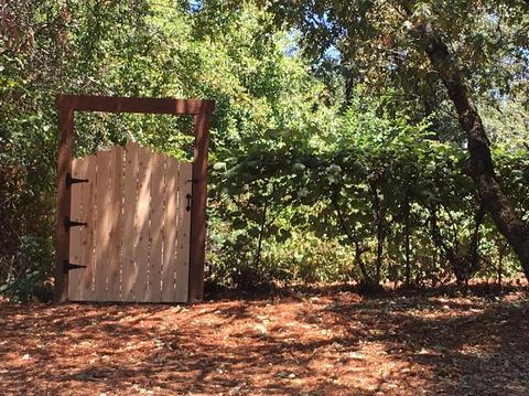 870 Whispering Pines Rd, Colfax, CA 95713 photo 32