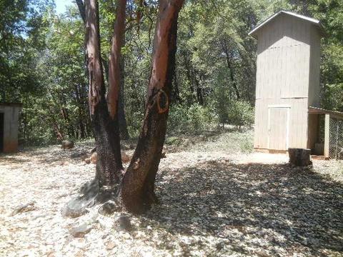 4241 Shoemaker Rd, Georgetown, CA 95634 photo 30