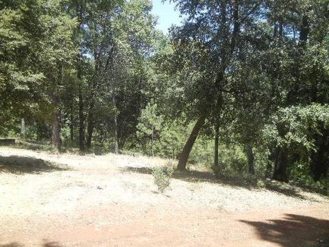 4241 Shoemaker Rd, Georgetown, CA 95634 photo 32