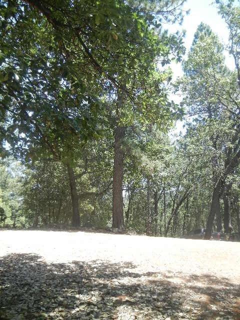 4241 Shoemaker Rd, Georgetown, CA 95634 photo 35