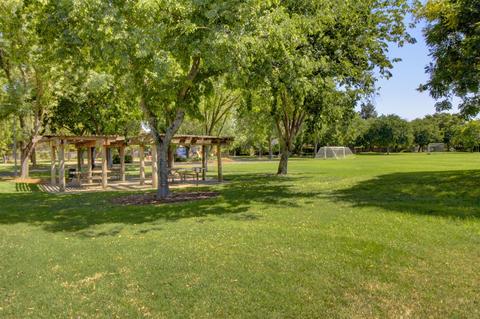648 Eisenhower St, Davis, CA 95616 photo 31