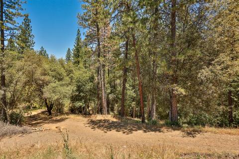 14231 Sutter Highlands Dr, Sutter Creek, CA 95685 photo 3