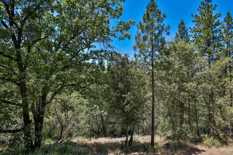 14231 Sutter Highlands Dr, Sutter Creek, CA 95685 photo 10