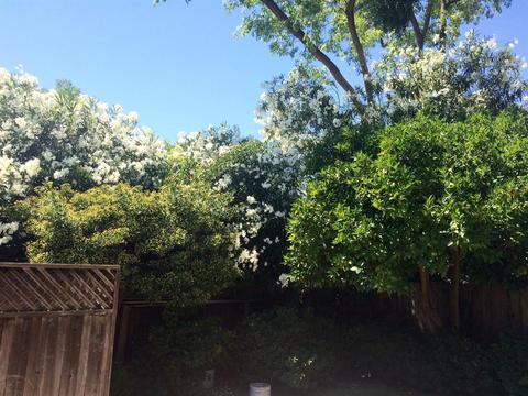 4200 Birgit Way, Sacramento, CA 95864 photo 21