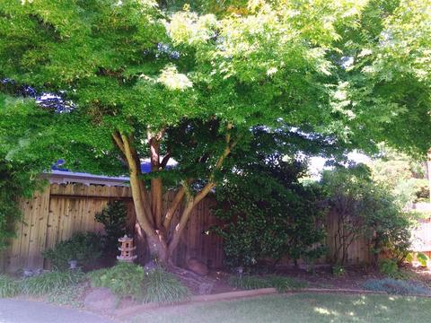 4200 Birgit Way, Sacramento, CA 95864 photo 20