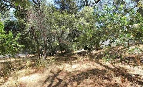20085 Rough And Ready Trl, Sonora, CA 95370 photo 24