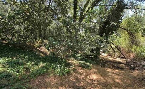 20085 Rough And Ready Trl, Sonora, CA 95370 photo 22